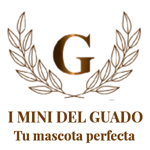sinergias_club_i_mini_del_guado